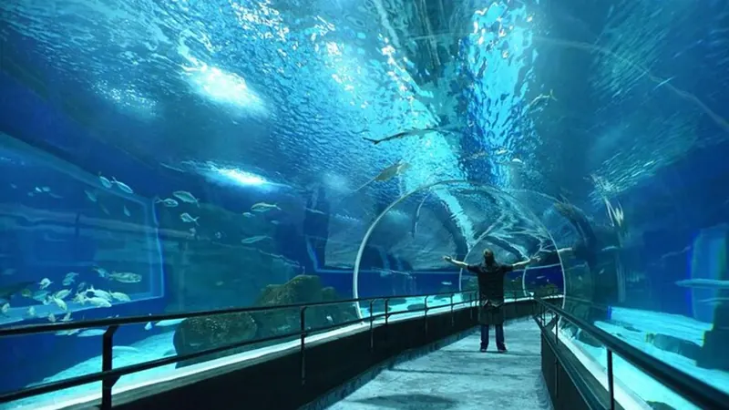 Ingresso all'AquaRio, l'acquario di Rio
